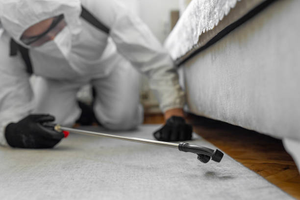 Professional Bed Bug Control technician working in Pine Mountain Lake, CA