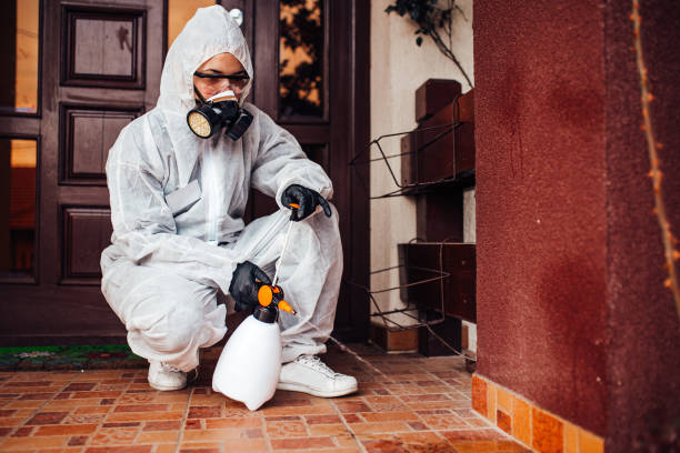 Reliable Bed Bug Control contractor in Pine Mountain Lake, CA by Nex Pest Control