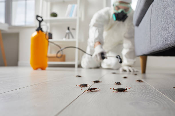 Trusted Fumigation Services service in Pine Mountain Lake, CA - Nex Pest Control