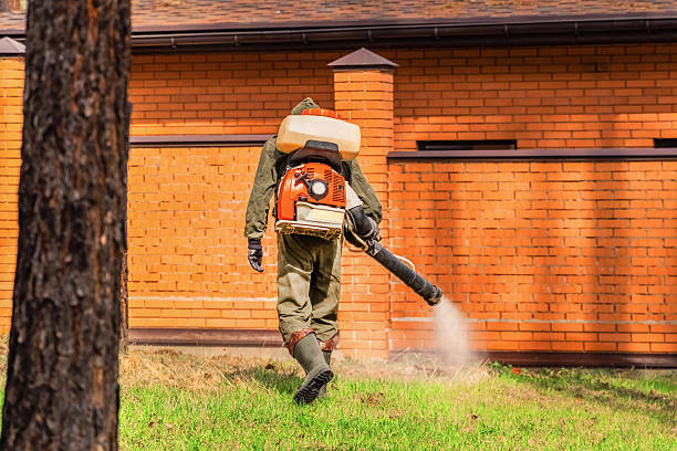 Trusted Bed Bug Control service in Pine Mountain Lake, CA - Nex Pest Control